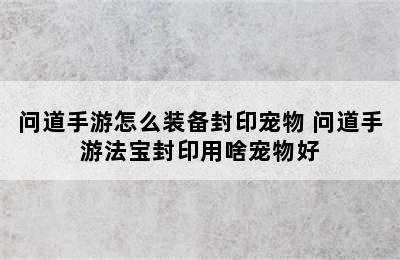 问道手游怎么装备封印宠物 问道手游法宝封印用啥宠物好